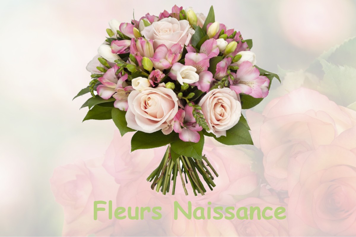 fleurs naissance SAINT-ETIENNE-DE-BAIGORRY
