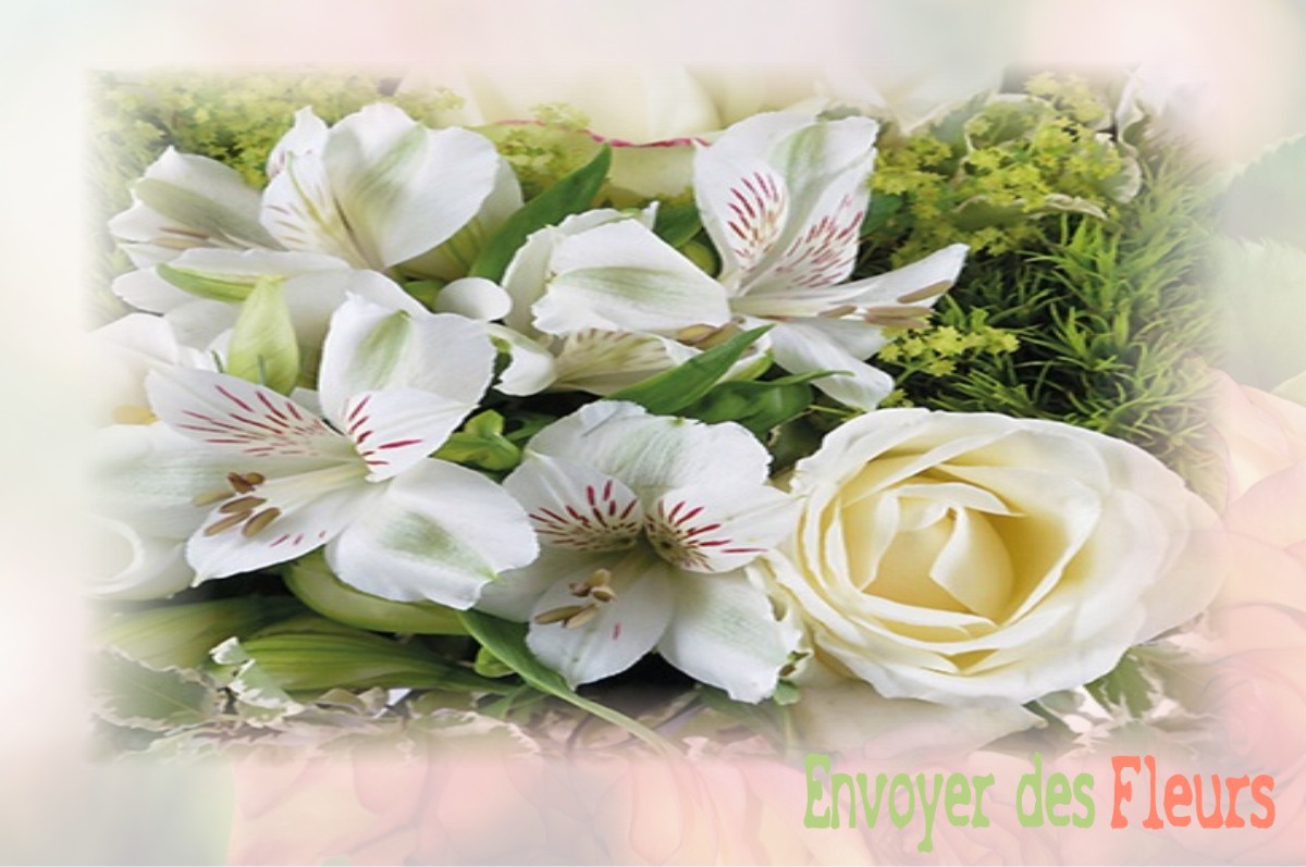 envoyer des fleurs à à SAINT-ETIENNE-DE-BAIGORRY